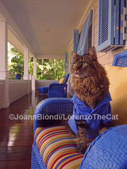 Veranda