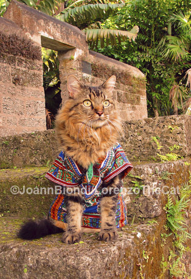 Dashiki