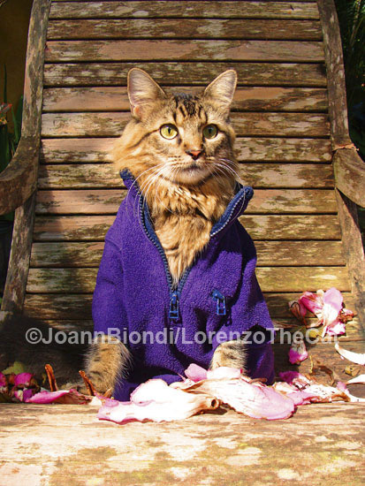 The Color Purple