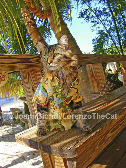 Beach Bum Chic