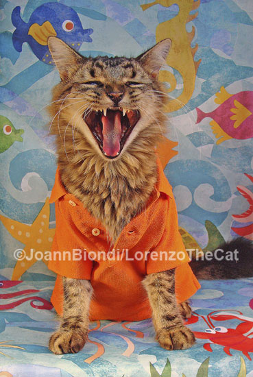 Howl!