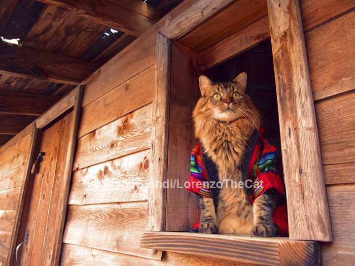 Rustic