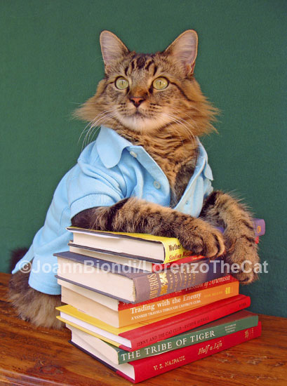 The Reader