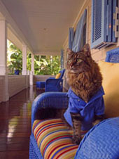 veranda