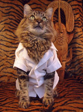 the hunter