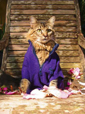 color purple