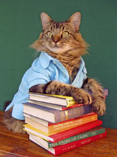 the reader
