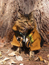 shaman